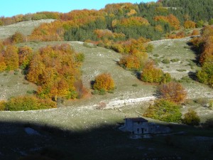 DSCN1683